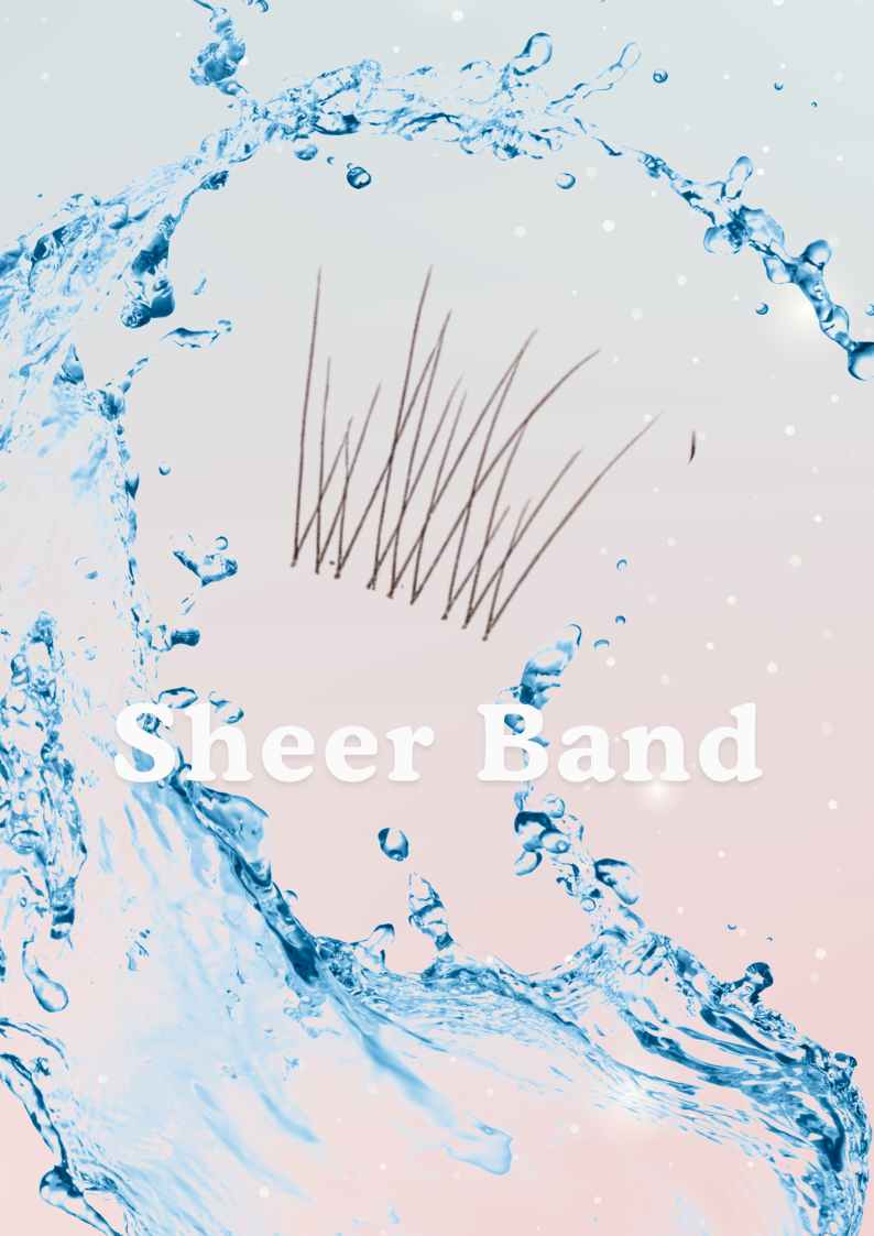 Sheer Band Lashes