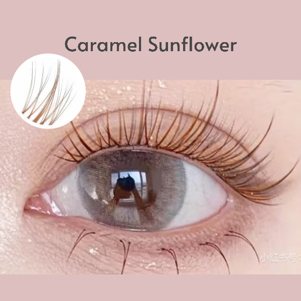 Brown Sunflower