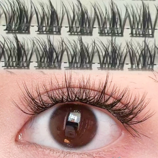 5D